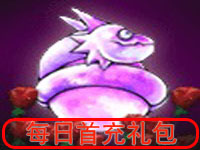 首充大礼包